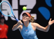 亚博- 莎拉波娃经典比赛 