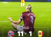 Yabo-哈兰德遭遇十五连败，独行侠教练面临压力！的简单介绍