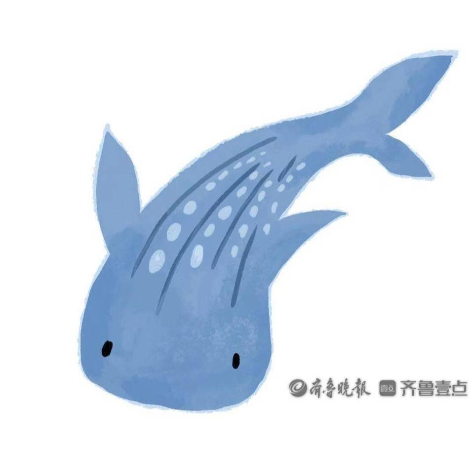 齐鲁鲸鲨队鏖战祁连黑豹队,游泳常规赛火力全开,转换速度占优。年轻人站出来了的简单介绍 齐鲁鲸鲨队鏖战祁连黑豹队,游泳常规赛火力全开,转换速度占优。年轻人站出来了的简单介绍