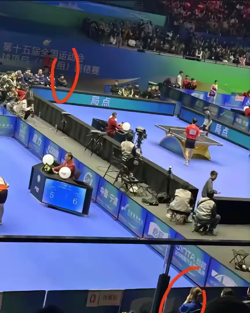 乒乓球杯赛掀起高潮，河套巨龙队强势横扫关东迅豹队，老将里程碑之夜——赛后更衣室沸腾的简单介绍